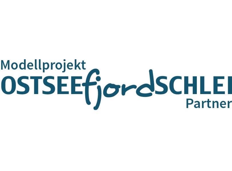 Ferientraum Borgwedel 4 Sterne Keine Monteurwohnung Buitenkant foto